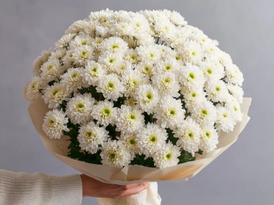 Монобукет из хризантем «Белое облако»