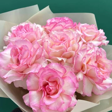 Розовый восторг