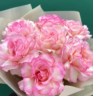 Розовый восторг