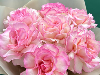 Розовый восторг