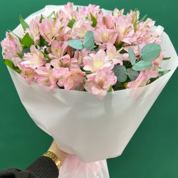 Танец бабочек