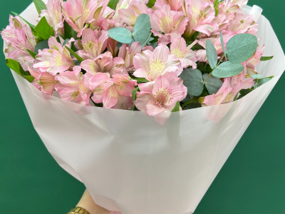 Танец бабочек