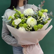 Зеленая гармония 1