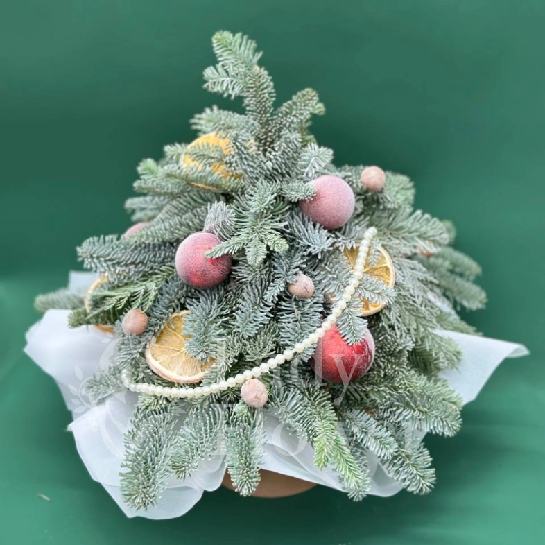 Зимняя сказка