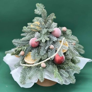 Зимняя сказка