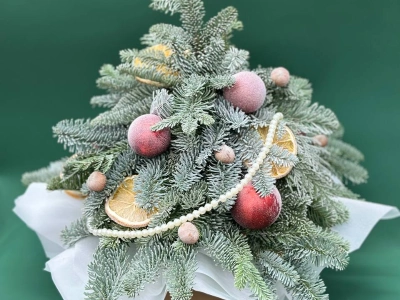 Зимняя сказка