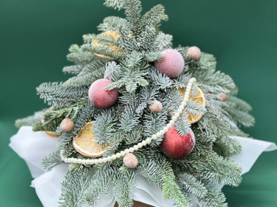 Зимняя сказка