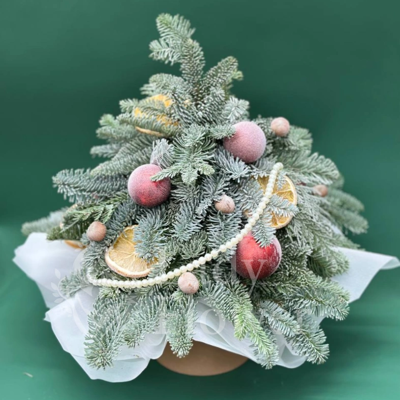 Зимняя сказка