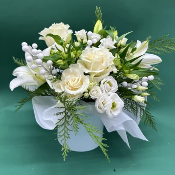 Зимняя гармония