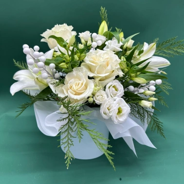 Зимняя гармония