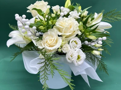 Зимняя гармония