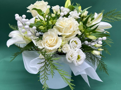 Зимняя гармония