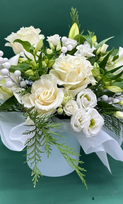 Зимняя гармония