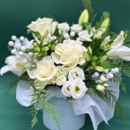 Зимняя гармония 1