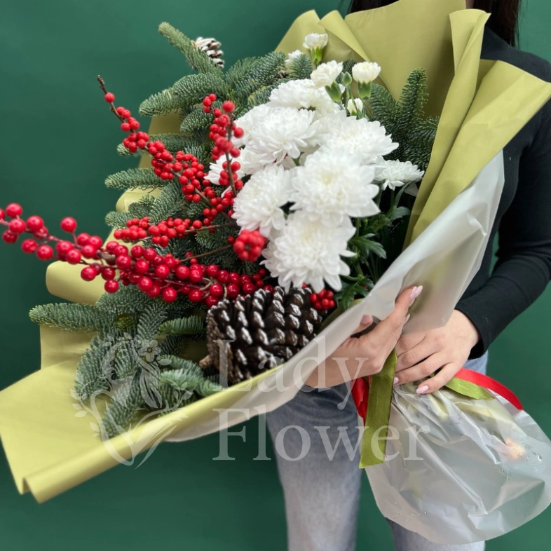 Зимний восторг