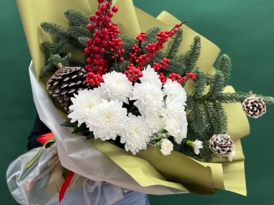 Зимний восторг