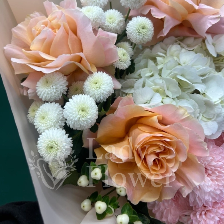 Воздушное облако