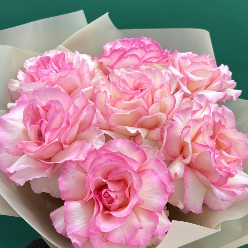 Розовый восторг